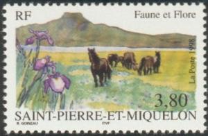 Colnect-877-482-Horse-Equus-ferus-caballus-and-iris.jpg