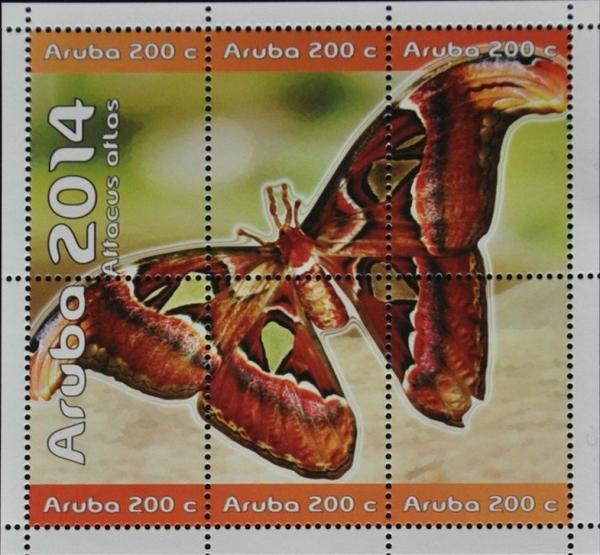 Colnect-2711-984-Atlas-Moth-Attacus-atlas.jpg