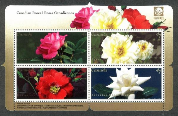 Colnect-2954-436-Roses---Miniature-sheet.jpg