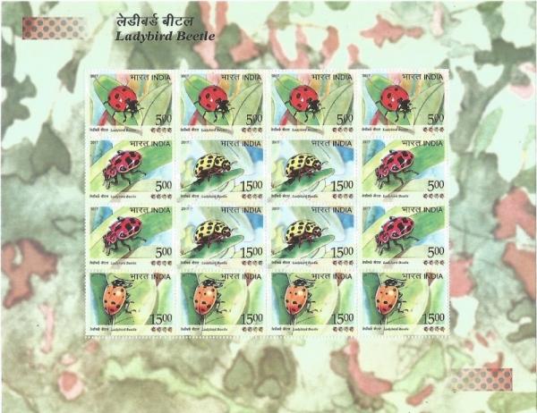 Colnect-4058-472-Ladybird-Beetles-of-India---Sheetlet-Format-4.jpg