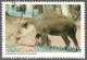Colnect-2706-005-Baird--s-tapir-Tapirus-bairdii.jpg