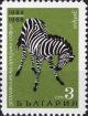 Colnect-3665-201-Plains-Zebra-Equus-quagga.jpg