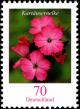 Colnect-5199-132-Dianthus-carthusianorum---Pink.jpg