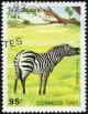 Colnect-783-892-Plains-Zebra-Equus-quagga.jpg