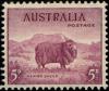 Australianstamp_1478.jpg