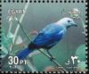 Colnect-1646-560-Blue-grey-Tanager-Thraupis-episcopus.jpg