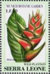 Colnect-4207-961-Wild-Plantain-Heliconia-wagneriana.jpg