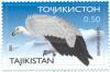 Gyps_himalayensis_tajikistan_stamp.jpg