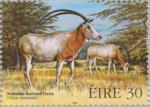 Colnect-129-536-Scimitar-Oryx-Oryx-dammah.jpg