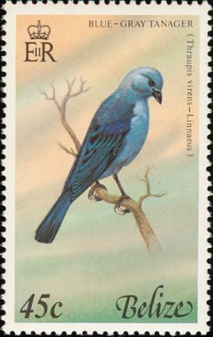 Colnect-1594-444-Blue-gray-Tanager-Thraupis-episcopus.jpg