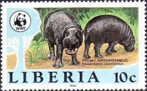 Colnect-5934-231-Pygmy-Hippopotamus-Choeropsis-liberiensis.jpg