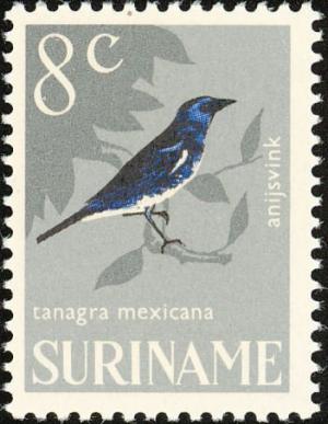 Colnect-994-001-Turquoise-Tanager%C2%A0Tangara-mexicana.jpg