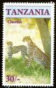 Colnect-1832-655-Cheetah-Acinonyx-jubatus.jpg