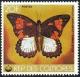 Colnect-3134-151-African-Swallowtail-Papilio-dardanus-ssp-cenea.jpg