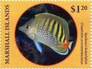 Colnect-6219-104-Spotband-butteflyfish.jpg