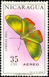 Colnect-2068-059-Butterfly-Lymnias-pixa.jpg