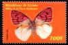 Colnect-2176-066-Butterfly-Icolotis-zoe.jpg