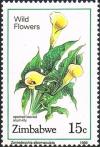 Colnect-4597-691-Spotted-Leaved-Arum-Lily.jpg