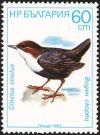 Colnect-732-699-White-throated-Dipper-Cinclus-cinclus.jpg