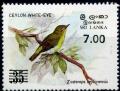 Colnect-1249-279-Sri-Lanka-White-eye-Zosterops-ceylonensis.jpg