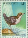 Colnect-134-668-White-throated-Dipper-Cinclus-cinclus.jpg