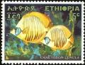 Colnect-2666-586-Raccoon-Butterflyfish-Chaetodon-lunula.jpg