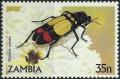 Colnect-2879-198-Tricolor-Blister-Beetle-Mylabris-tricolor.jpg
