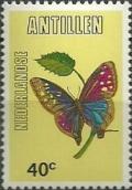 Colnect-946-223-Butterfly-Morpho-aega.jpg