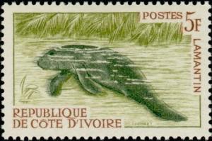 Colnect-1238-944-African-Manatee-Trichechus-senegalensis.jpg