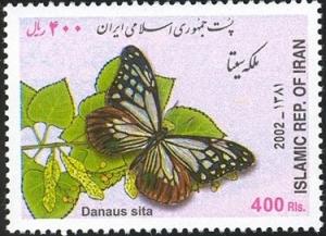 Colnect-1590-745-Butterfly-Danaus-sita.jpg