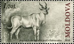 Colnect-1945-504-African-Antelope-Pontoceros-ambiguus.jpg