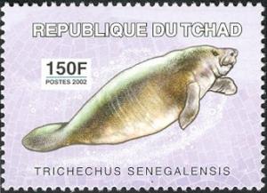 Colnect-2395-305-African-Manatee-Trichechus-senegalensis.jpg
