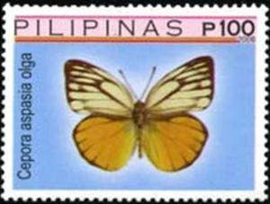 Colnect-2500-201-Pierid-Butterfly-Cepora-aspasia-olga.jpg