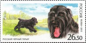 Colnect-2699-725-Black-Russian-Terrier-Canis-lupus-familiaris.jpg