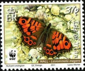 Colnect-3952-701-Wall-Butterfly-Lasiommata-megera.jpg