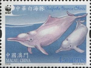 Colnect-5296-781-Chinese-White-Dolphin-Sousa-chinensis.jpg