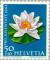 Colnect-140-253-White-water-lily-Nymphaea-alba.jpg