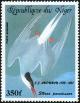 Colnect-1008-728-Arctic-Tern-Sterna-paradisaea.jpg
