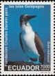 Colnect-1712-916-Blue-footed-Booby-Sula-nebouxii.jpg