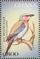 Colnect-1718-848-Lilac-breasted-Roller-Coracias-caudata.jpg