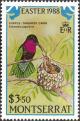 Colnect-1785-036-Purple-throated-Carib-Eulampis-jugularis.jpg