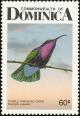 Colnect-1788-007-Purple-throated-Carib-Eulampis-jugularis.jpg