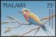 Colnect-3388-902-Lilac-breasted-Roller-Coracias-caudata.jpg
