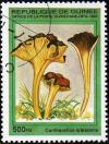Colnect-2000-348-Cantharellus-lutescens.jpg