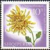 Colnect-452-942-Indian-chrysanthemum-Chrysanthemum-indicum.jpg