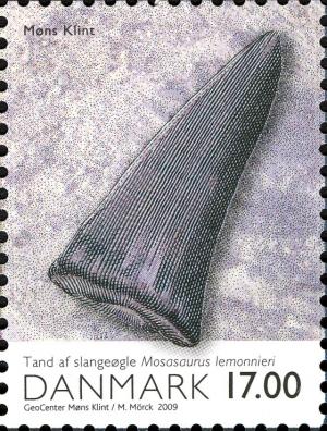 Colnect-1988-519-Fossile-tooth-of-Mosasaurus-lemonnieri.jpg