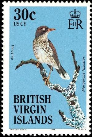 Colnect-2650-345-Pearly-eyed-Thrasher-Margarops-fuscatus.jpg