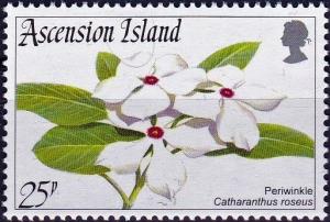 Colnect-4042-172-Catharanthus-roseus.jpg