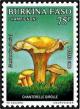 Colnect-2890-914-Cantharellus-cibarius.jpg