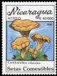 Colnect-3509-377-Cantharellus-cibarius.jpg